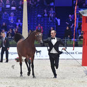 Yearling Male: Yas BHM 