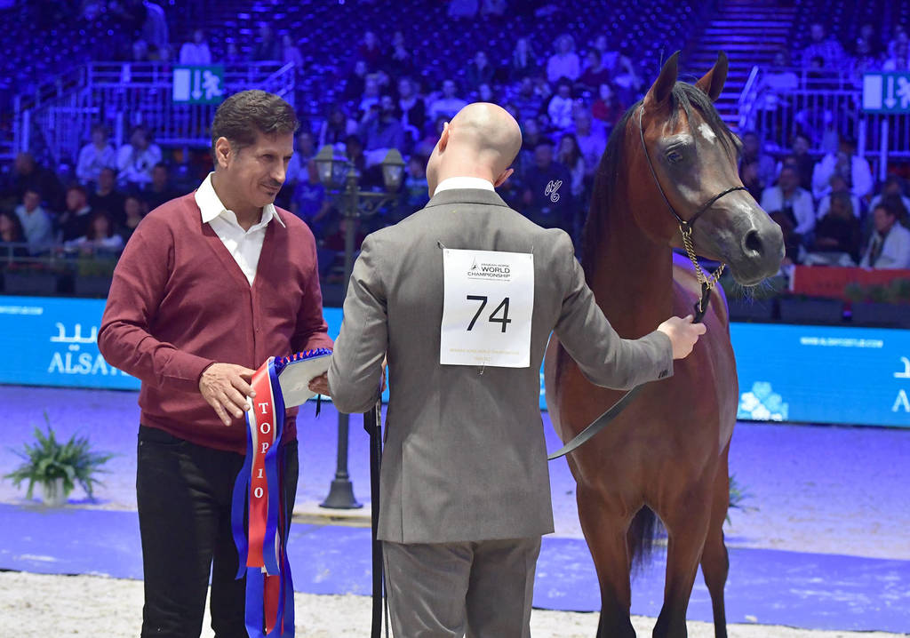 Yearling Male: Aanan Lembarak 