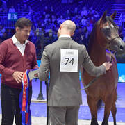 Yearling Male: Aanan Lembarak 