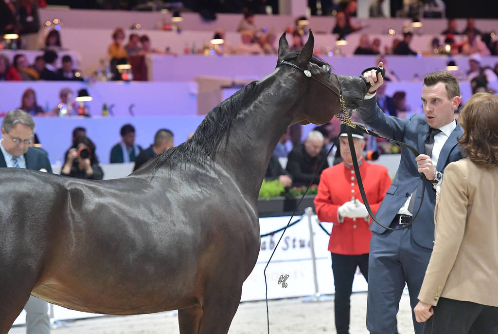 Senior Female: Maharani CF