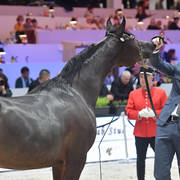 Senior Female: Maharani CF