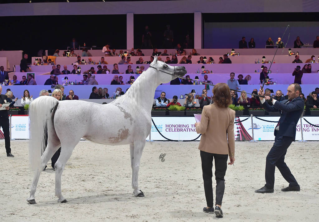 Senior Female: Anood Al Nasser 