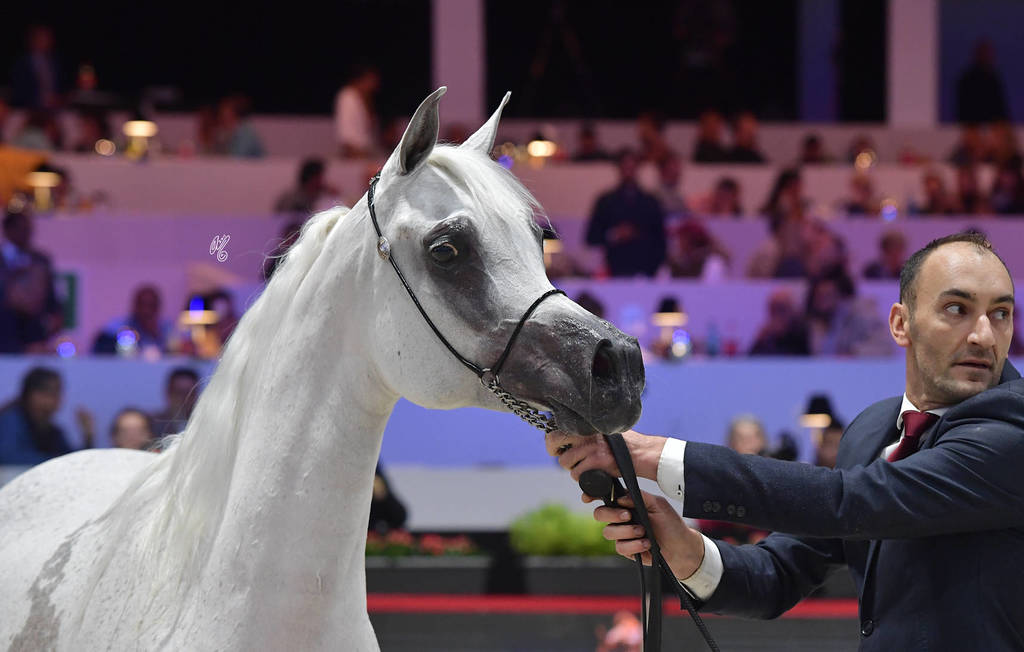 Senior Female: Anood Al Nasser 