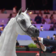 Senior Female: Anood Al Nasser 