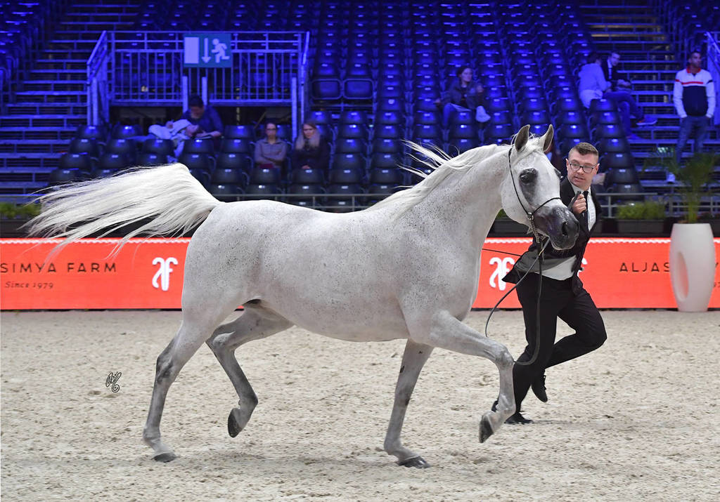 Senior Female: Pilarosa 