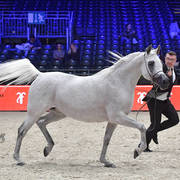 Senior Female: Pilarosa 