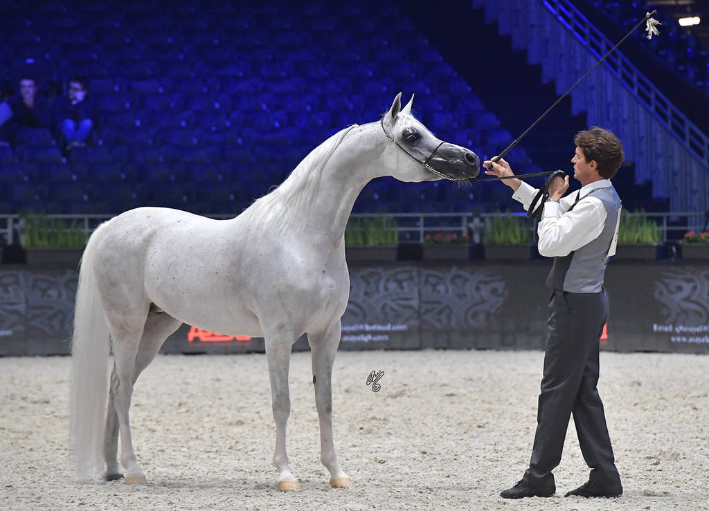 Senior Female: EKS Shakira