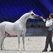 Senior Female: EKS Shakira