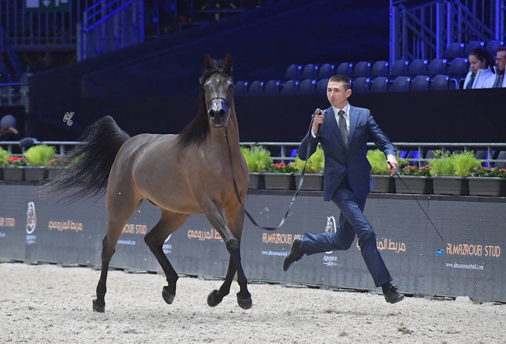 Senior Female: Emandilla