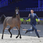 Senior Female: Emandilla