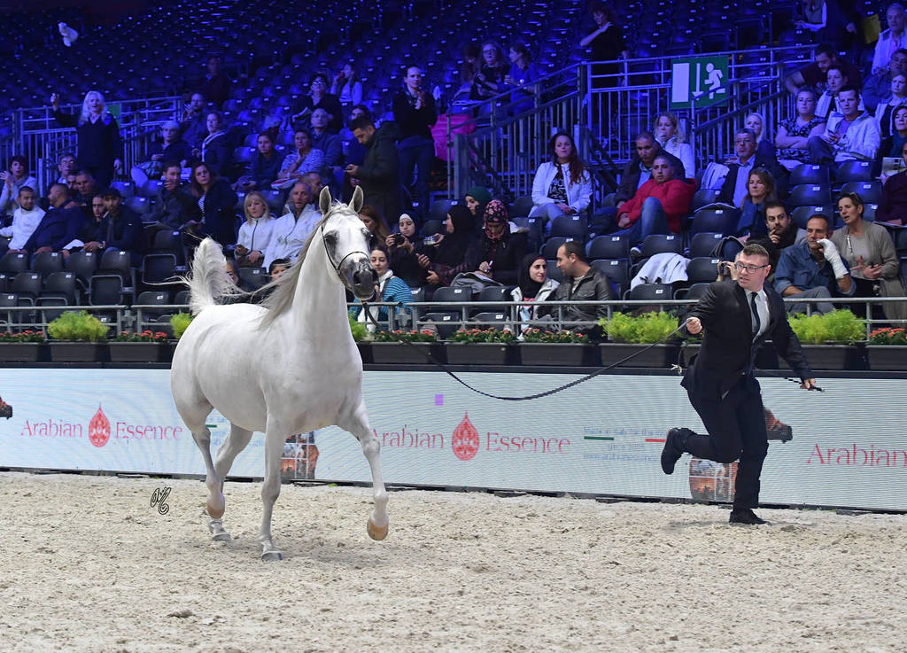 Senior Female: Euzona 