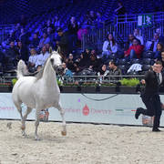 Senior Female: Euzona 