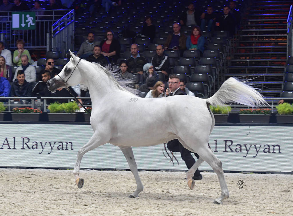 Senior Female: Euzona 