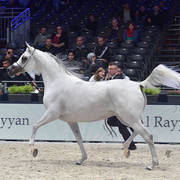 Senior Female: Euzona 