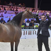 Senior Female: Potentilla 