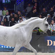 Senior Female: Noft Al Nayfat