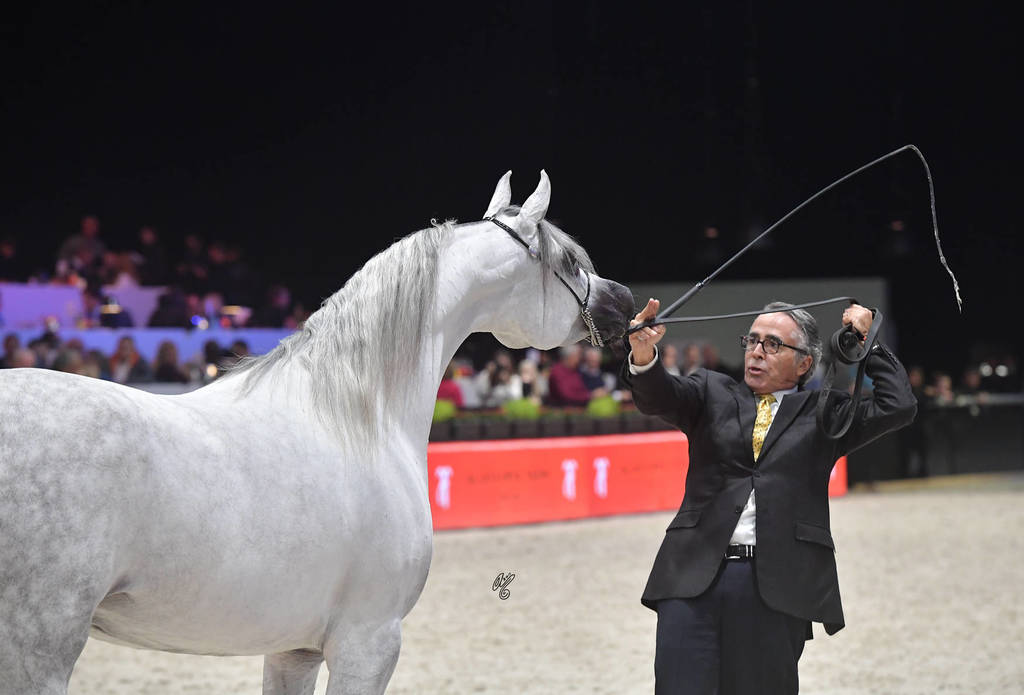 Senior Female: Bint Hazy Al Khalediah 