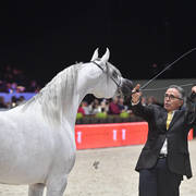 Senior Female: Bint Hazy Al Khalediah 