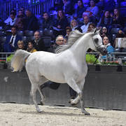 Senior Female: Bint Hazy Al Khalediah 