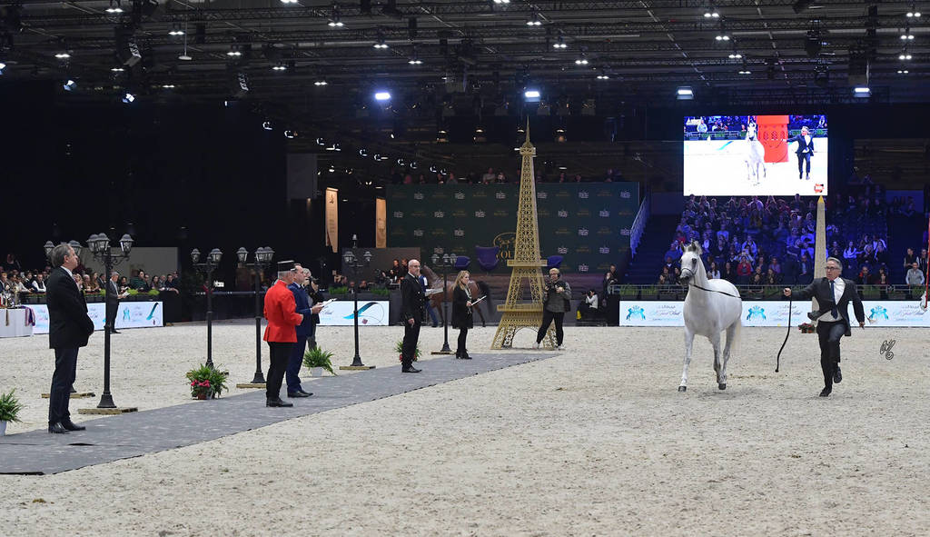 Senior Female: Bint Hazy Al Khalediah 