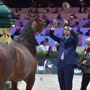 Senior Female: Arwa Aljassimya  