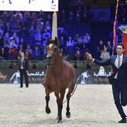 Senior Female: Arwa Aljassimya  