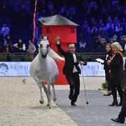 Senior Female: Galerida 