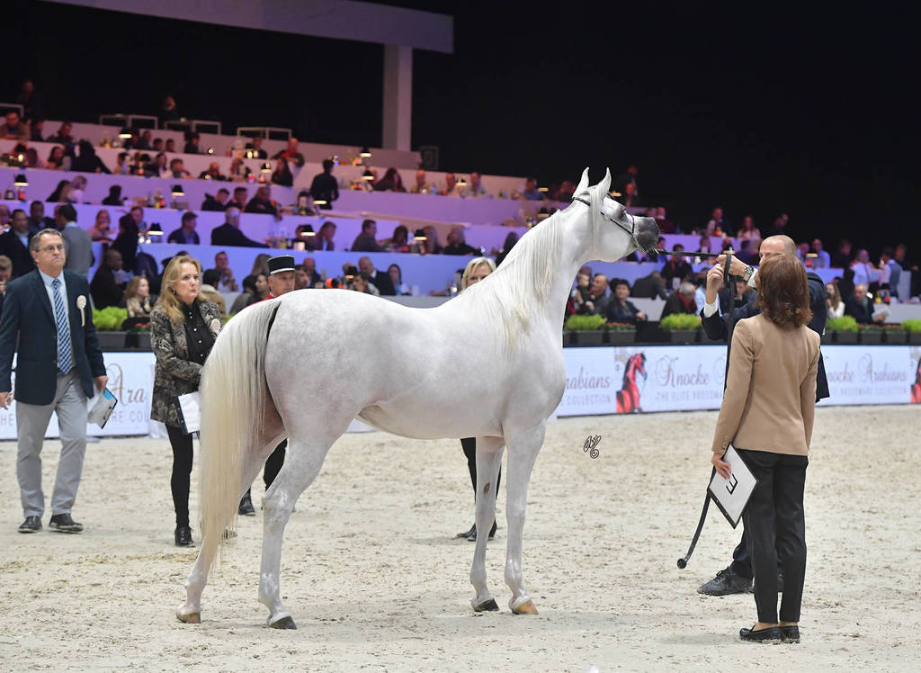 #Junior Female: Sahara Angel 