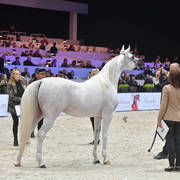 #Junior Female: Sahara Angel 
