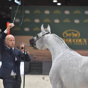 Junior Female: Marrakech J