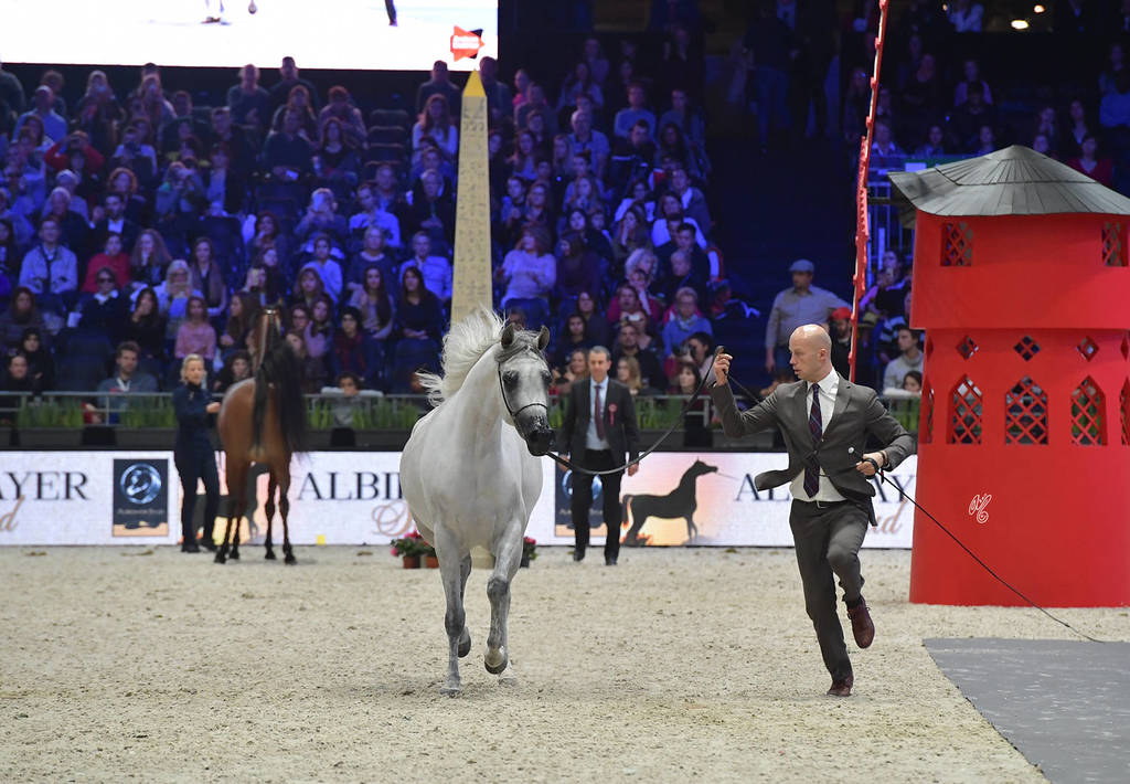 Junior Female: Marrakech J