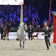 Junior Female: Marrakech J