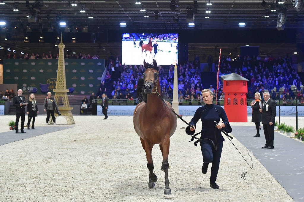 Junior Female: Loulou Al Nasser 