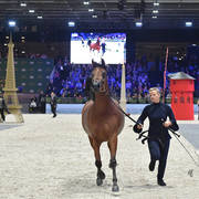 Junior Female: Loulou Al Nasser 