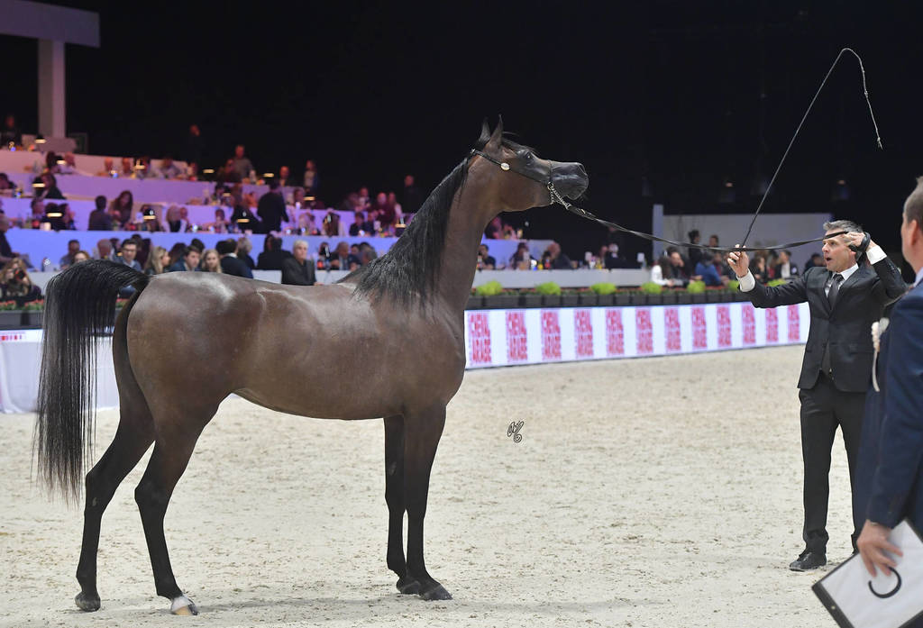 Junior Female: Beloved Gracious Lady