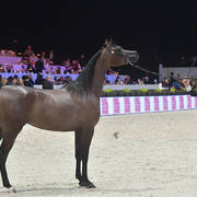 Junior Female: Beloved Gracious Lady