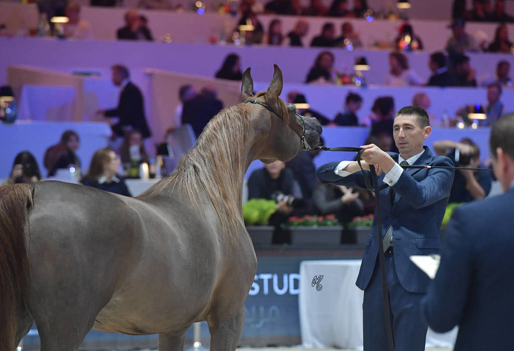 Junior Female: Emanolla 