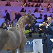 Junior Female: Emanolla 