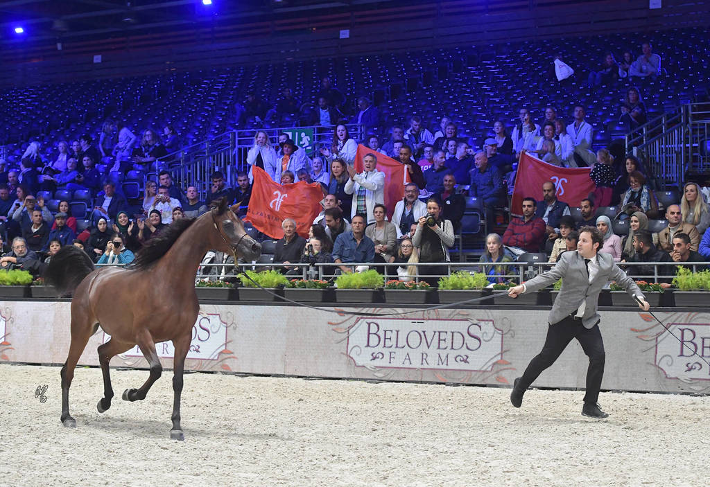 Junior Female: Juhaina Aljassimya 