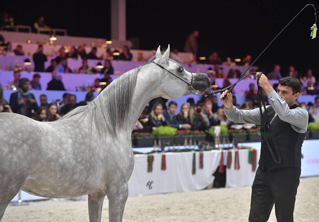 Junior Female: DA Alihandra 