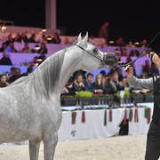 Junior Female: DA Alihandra 