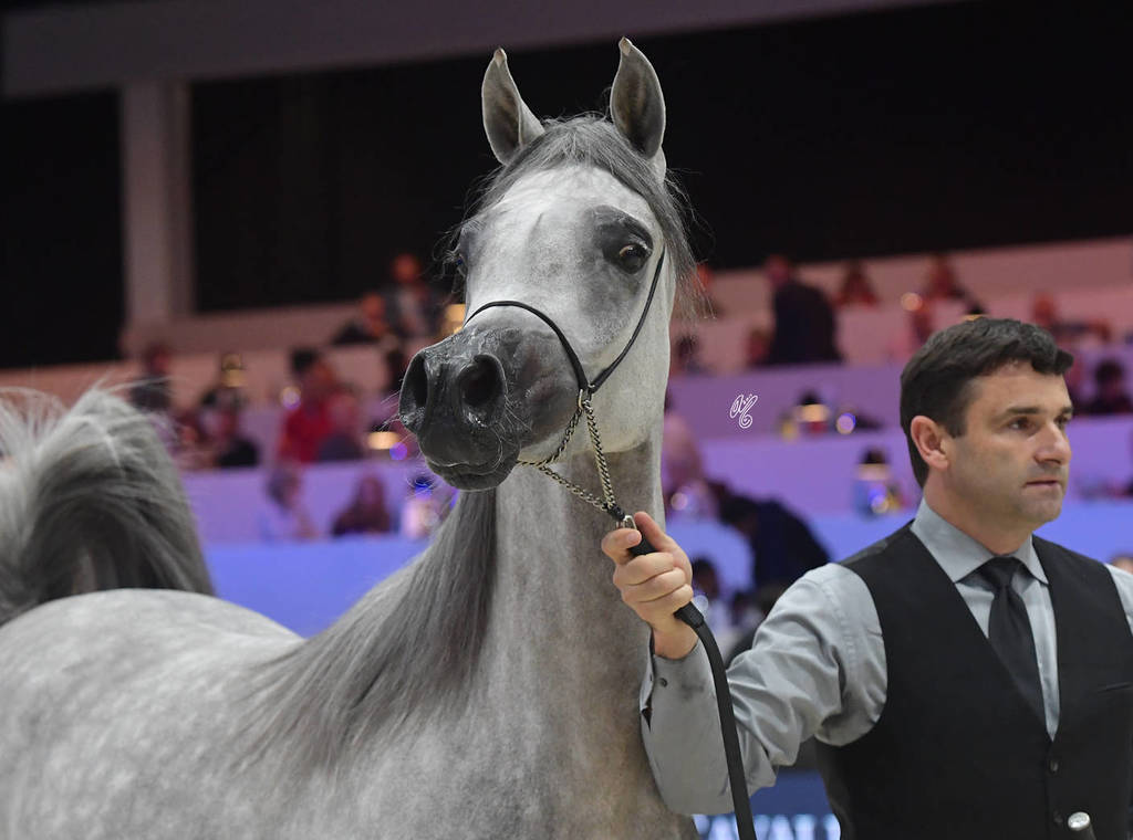 Junior Female: DA Alihandra 