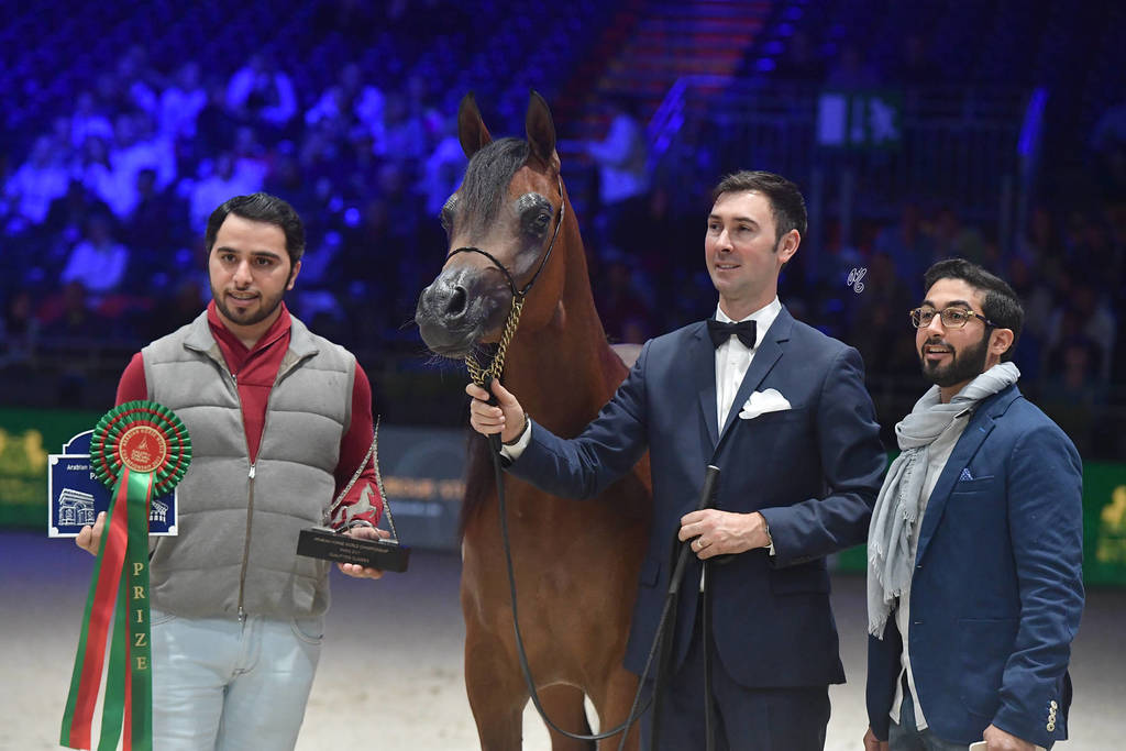 Yearling Filly: KZ Fairouz