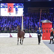 Yearling Filly: Haifa ED