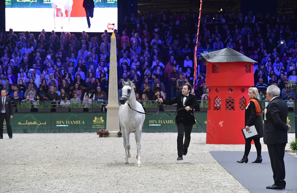 Yearling Filly: Jasmeenah Aljassimya 