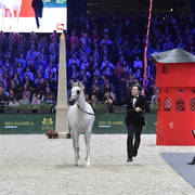 Yearling Filly: Jasmeenah Aljassimya 