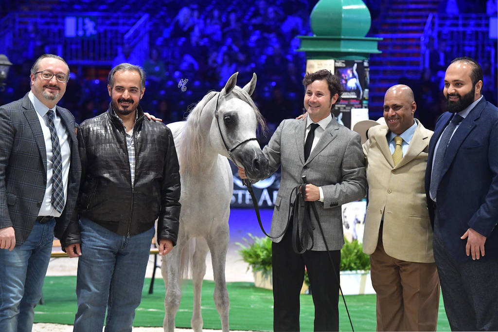 Yearling Filly: Jasmeenah Aljassimya 