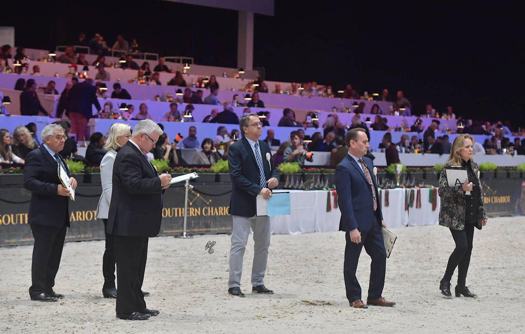 Lisa Abraham: The 2017 Arabian Horse World Championship Photo Album