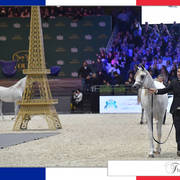 Lisa Abraham: The 2017 Arabian Horse World Championship Photo Album