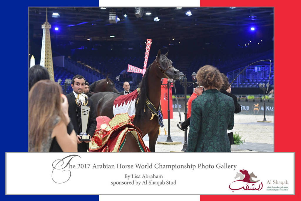 Lisa Abraham: The 2017 Arabian Horse World Championship Photo Album